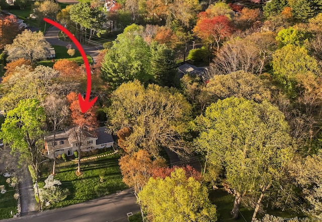 view of subject property