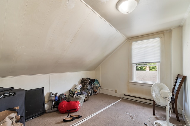 14 Palmer St, Killingly, CT 06239 - additional living space featuring carpet flooring and lofted ceiling