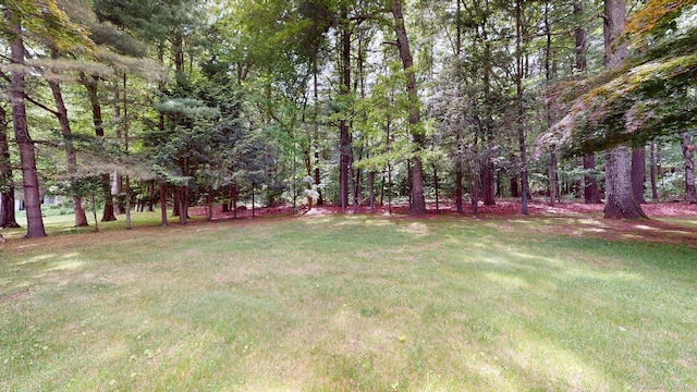 14 Winding Ln, Enfield, CT 06082 - view of green lawn