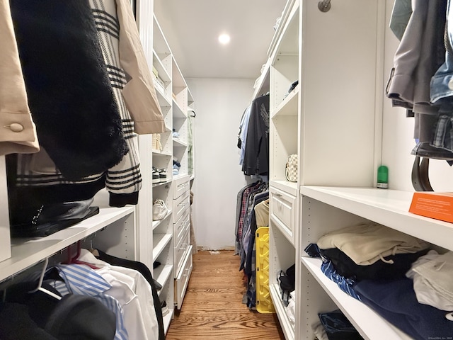 22 Palmer Ave, Stamford, CT 06902 - walk in closet with light wood-type flooring