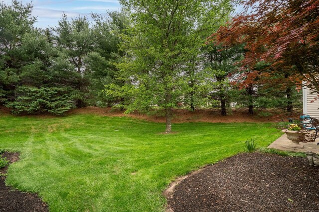 2 Plum Tree Cir, Farmington, CT 06032 - view of grassy yard