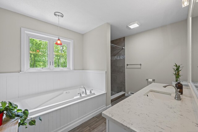 5 Nutmeg Ln, East Hampton, CT 06424 - bathroom with vanity, a garden tub, wood finished floors, tiled shower, and a wainscoted wall