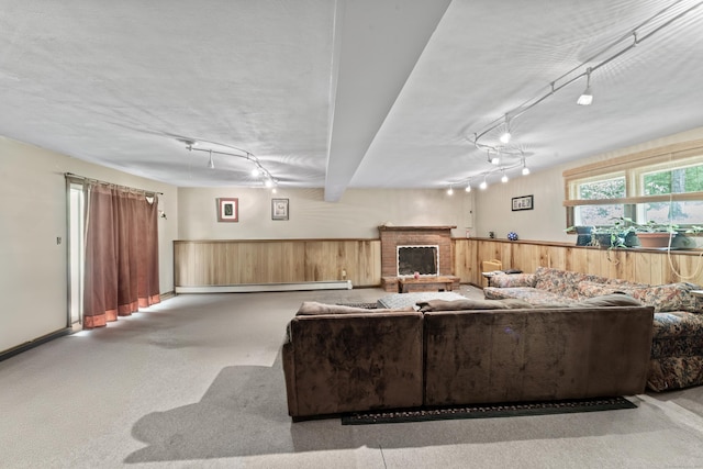 living area featuring rail lighting, a baseboard radiator, a fireplace, and baseboards