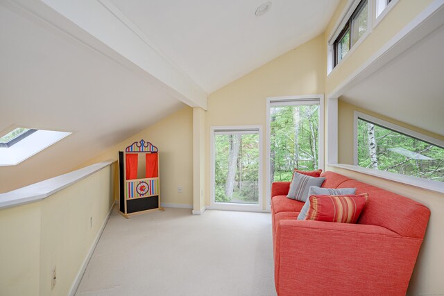 22 Kristy Dr, Bethel, CT 06801 - sitting room featuring vaulted ceiling, a skylight, plenty of natural light, and carpet