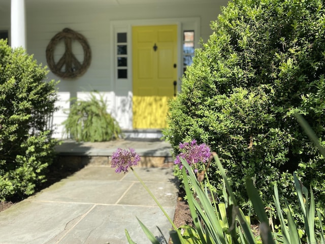 11 Thomas Rd, Westport, CT 06880 - view of entrance to property