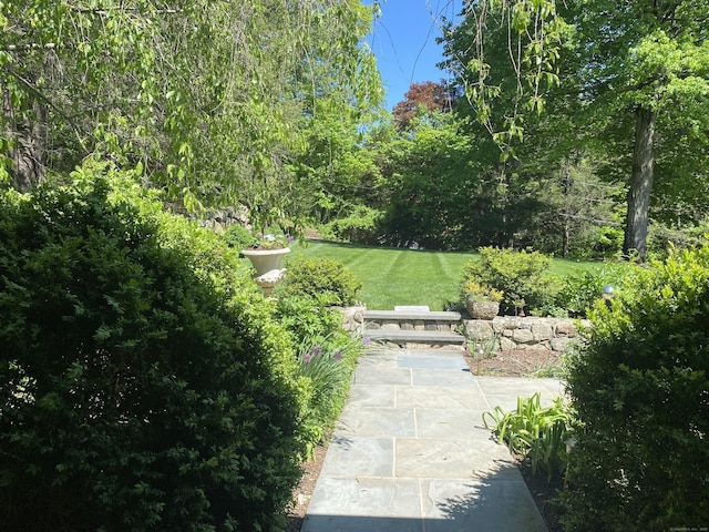 11 Thomas Rd, Westport, CT 06880 - view of property's community featuring a patio area and a yard