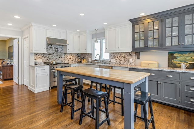 11 Thomas Rd, Westport, CT 06880 - kitchen with stainless steel appliances, under cabinet range hood, crown molding, dark wood-type flooring, and decorative backsplash