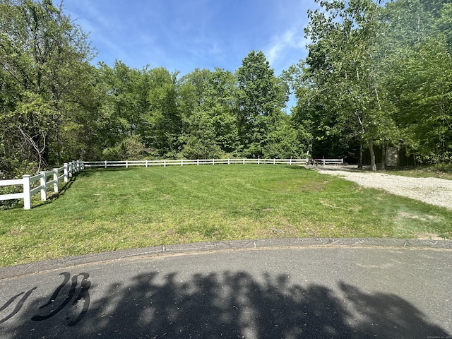 95 S Ridge Ln Unit D201, Berlin, CT 06037 - view of yard