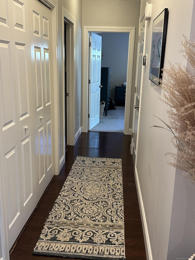 95 S Ridge Ln Unit D201, Berlin, CT 06037 - hallway with dark wood-style flooring and baseboards