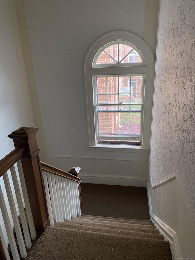 139 Fountain St Apt B9, New Haven, CT 06515 - staircase featuring carpet floors