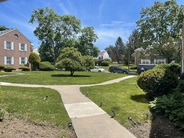 view of community with a yard