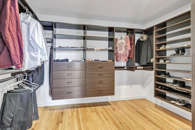 81 Georges Ln, Monroe, CT 06468 - spacious closet with light wood finished floors