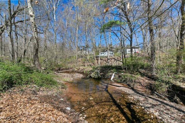 view of undeveloped land