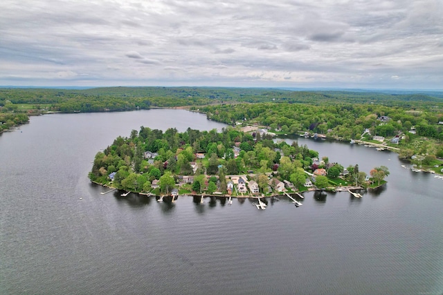 50 Hill Top Rd, Morris, CT 06763 - bird's eye view of a forest and a large body of water
