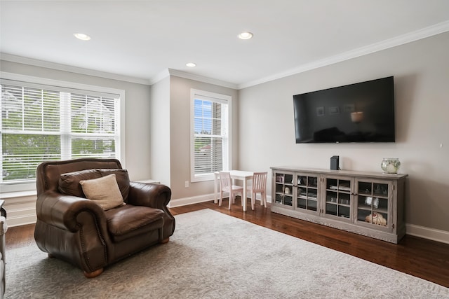 206 Copper Square Dr Unit 206, Bethel, CT 06801 - living area with crown molding, baseboards, wood finished floors, and recessed lighting
