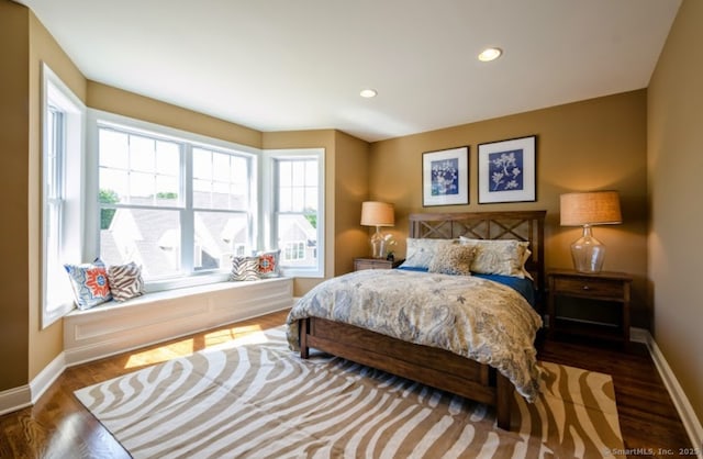 206 Copper Square Dr Unit 206, Bethel, CT 06801 - bedroom with multiple windows, baseboards, wood finished floors, and recessed lighting