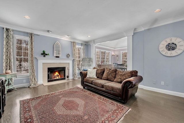 living area with wood finished floors, baseboards, a lit fireplace, crown molding, and recessed lighting