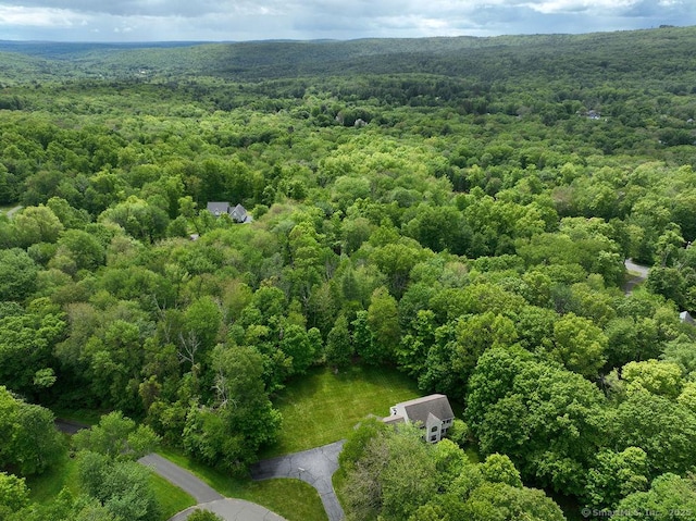 24 Secret Mountain Trl, Canton, CT 06019 - aerial view of a forest