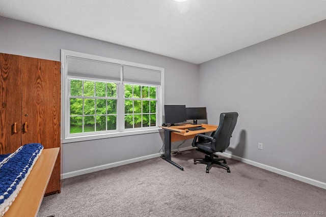 24 Secret Mountain Trl, Canton, CT 06019 - carpeted office space featuring baseboards