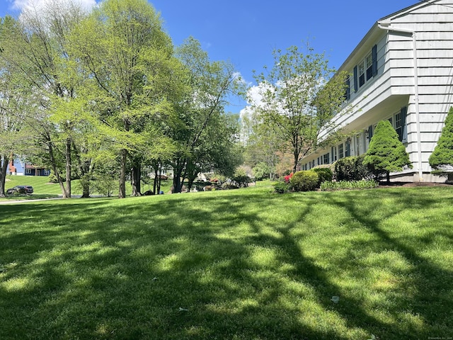 view of grassy yard