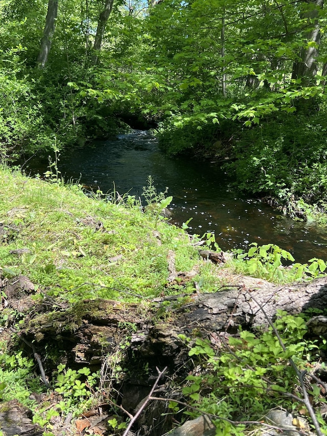 view of nature