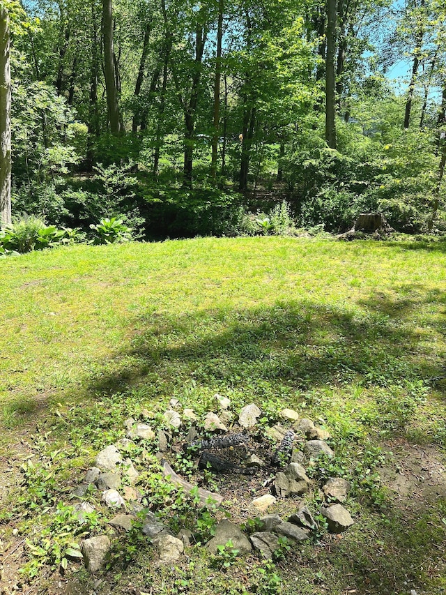 481 Clearbrook Rd, Orange, CT 06477 - view of yard