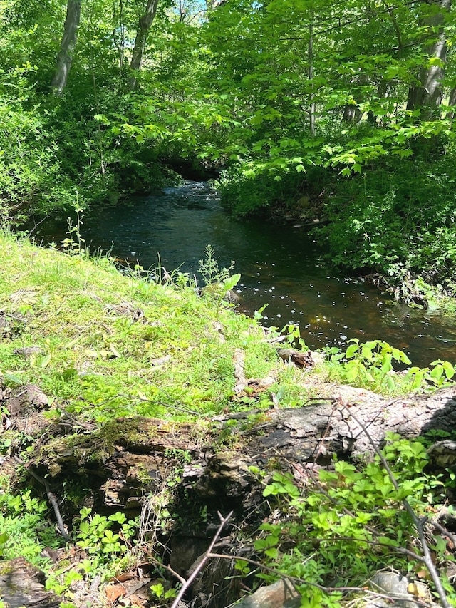 481 Clearbrook Rd, Orange, CT 06477 - view of nature
