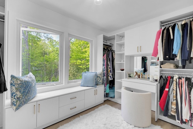 135 Gary Rd, Stamford, CT 06903 - spacious closet with light wood finished floors