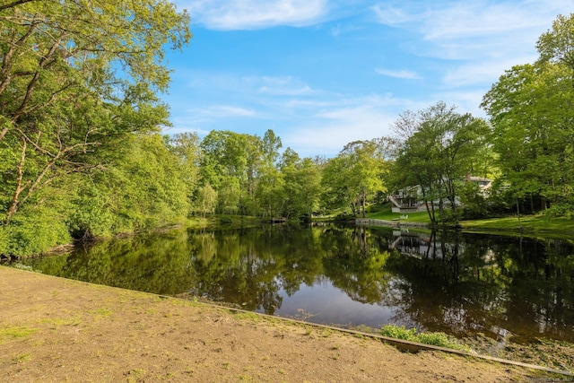 135 Gary Rd, Stamford, CT 06903 - water view featuring a forest