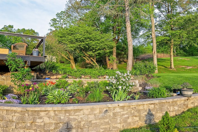 194 Josies Ring Rd, Monroe, CT 06468 - view of yard
