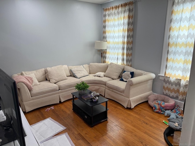 living room featuring wood finished floors