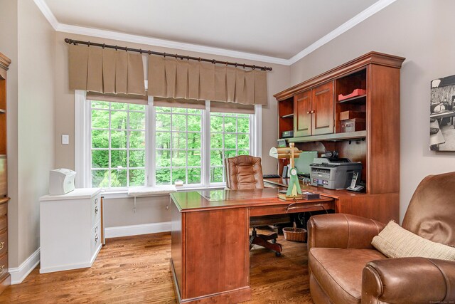 34 Avalon Dr, Middlebury, CT 06762 - home office featuring light wood-style flooring, baseboards, and ornamental molding