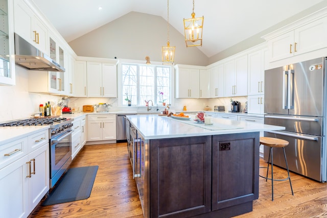 471 Newtown Tpke, Redding, CT 06896 - kitchen with stainless steel appliances, under cabinet range hood, a chandelier, a sink, and a center island