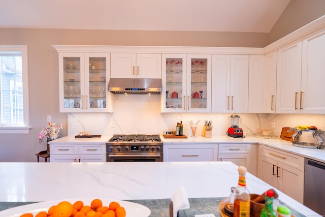 471 Newtown Tpke, Redding, CT 06896 - kitchen featuring under cabinet range hood, appliances with stainless steel finishes, backsplash, white cabinets, and light stone counters