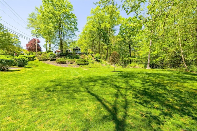 255 Killingly Rd, Pomfret, CT 06259 - view of grassy yard