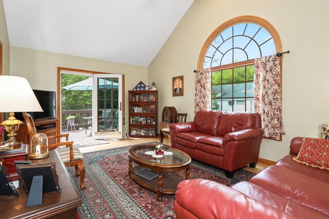 17A Morris Rd, Prospect, CT 06712 - living area featuring high vaulted ceiling and wood finished floors