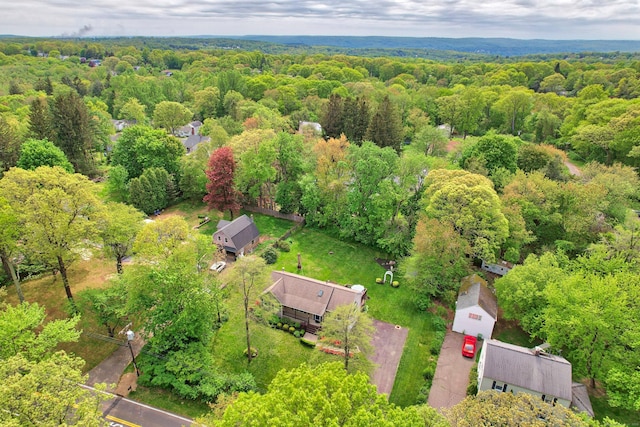 17A Morris Rd, Prospect, CT 06712 - drone / aerial view of a heavily wooded area