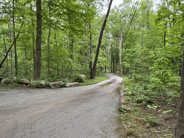 70 Lynn Rd, Essex, CT 06442 - view of road featuring a wooded view