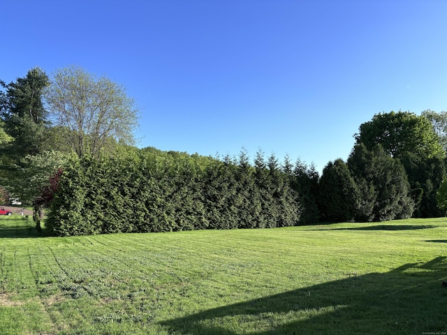 244 Spruce Brook Rd, Berlin, CT 06037 - view of green lawn