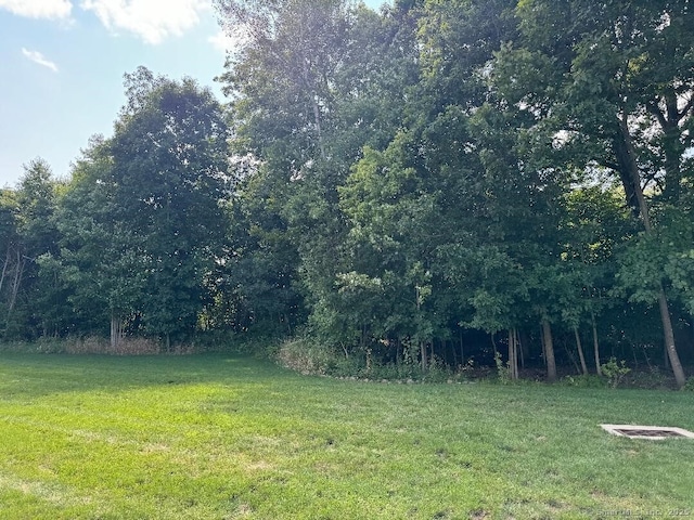 60 Pinehurst Dr Unit 60, East Haven, CT 06513 - view of green lawn