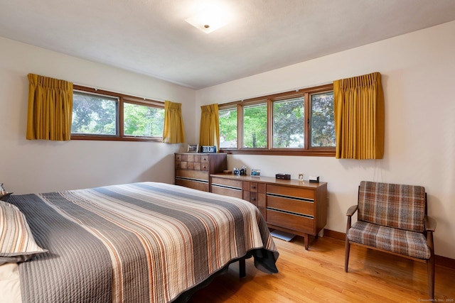 16 Ellsworth Rd, East Windsor, CT 06016 - bedroom featuring light wood-style floors
