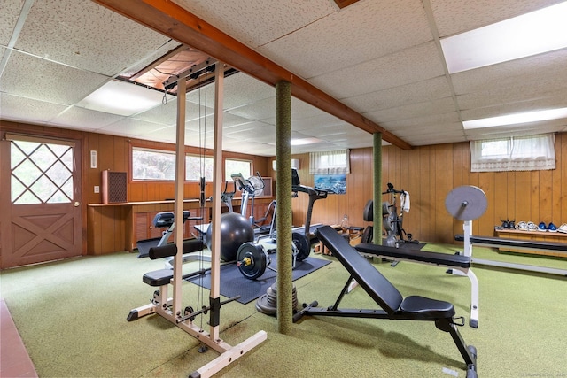 16 Ellsworth Rd, East Windsor, CT 06016 - workout room featuring wood walls, carpet flooring, healthy amount of natural light, and a drop ceiling