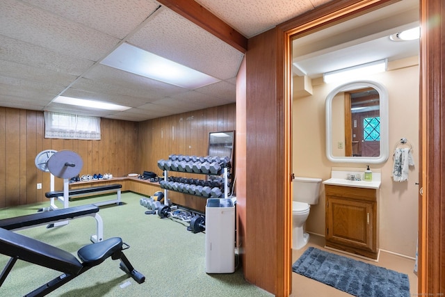 16 Ellsworth Rd, East Windsor, CT 06016 - exercise room featuring wooden walls, carpet, a sink, and a drop ceiling