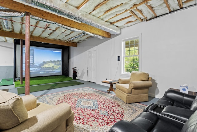 20 Webster Ln Unit 20, Middletown, CT 06457 - home theater featuring golf simulator