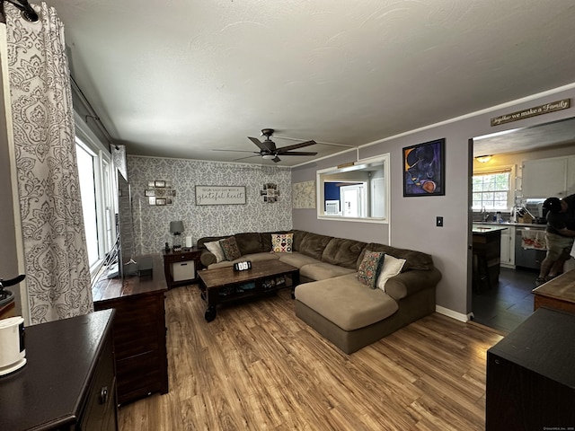 17 Aspen Ct, Norwich, CT 06360 - living room with ceiling fan, wood finished floors, wallpapered walls, baseboards, and an accent wall