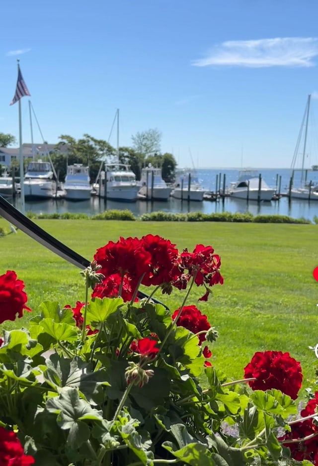 14 Great Marsh Rd, Westport, CT 06880 - view of grassy yard with a water view