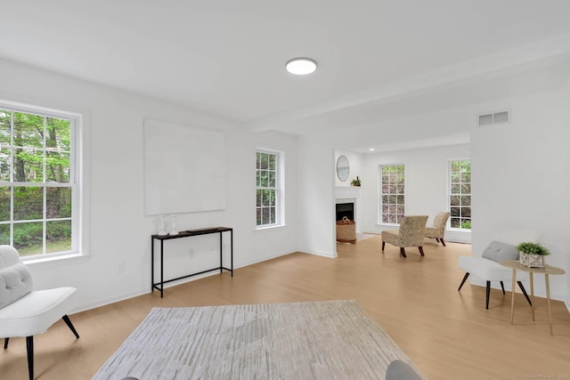 living area with wood finished floors and plenty of natural light