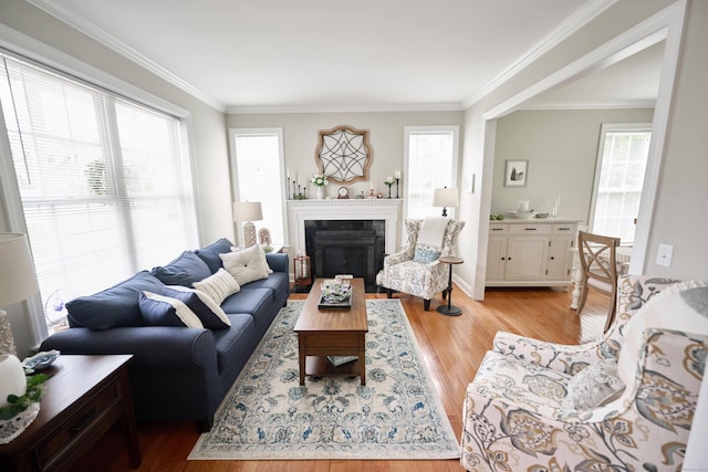 living room featuring wood finished floors, a fireplace, and crown molding