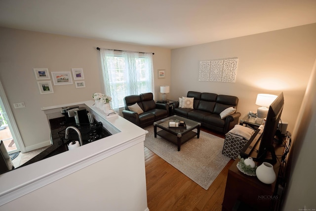 living area with wood finished floors