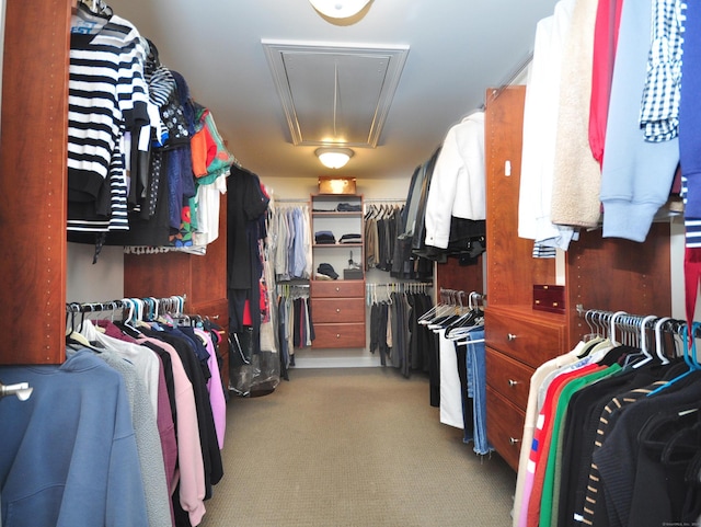 21 Pheasant Hill Rd, Canton, CT 06019 - spacious closet featuring attic access and carpet